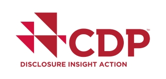 CDP Disclosure Insight Action