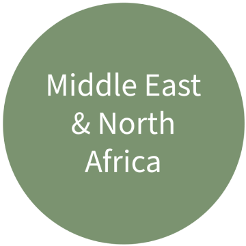 Middle East & North Africa