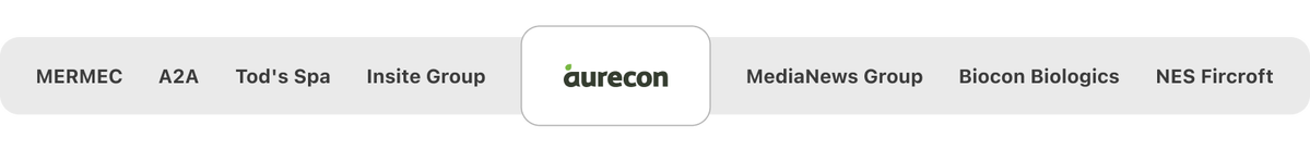 MERMEC, A2A, Tod's Spa, Insite Group, Aurecon, MediaNews Group, Biocon Biologics e NES Fircroft