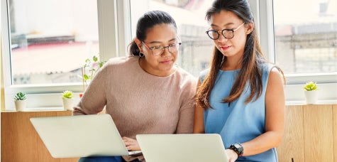 two professionals studying on laptops