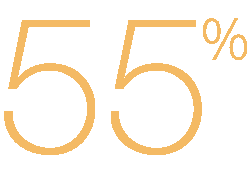55%