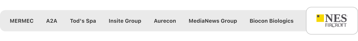 MERMEC, A2A, Tod's Spa, Insite Group, Aurecon, MediaNews Group, Biocon Biologics e NES Fircroft