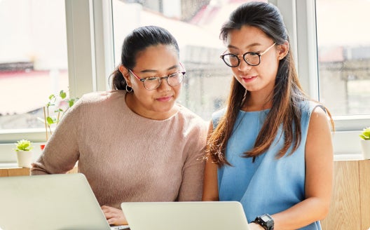 two professionals studying on laptops