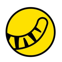 Tiger Fintech