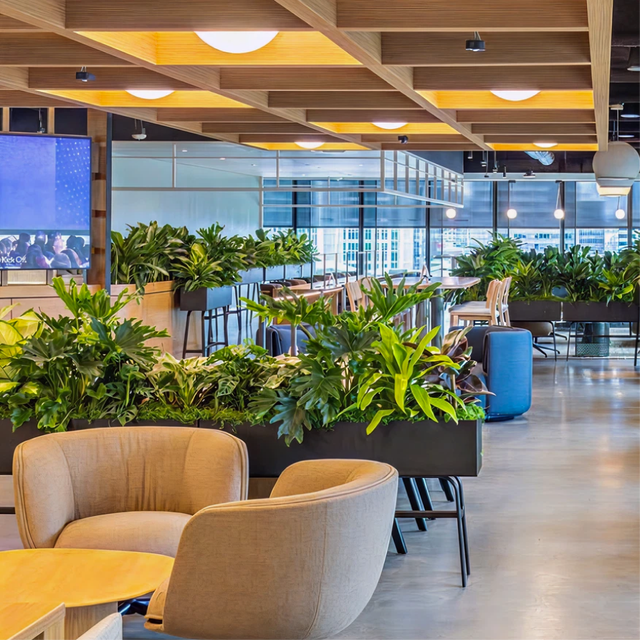 LinkedIn office