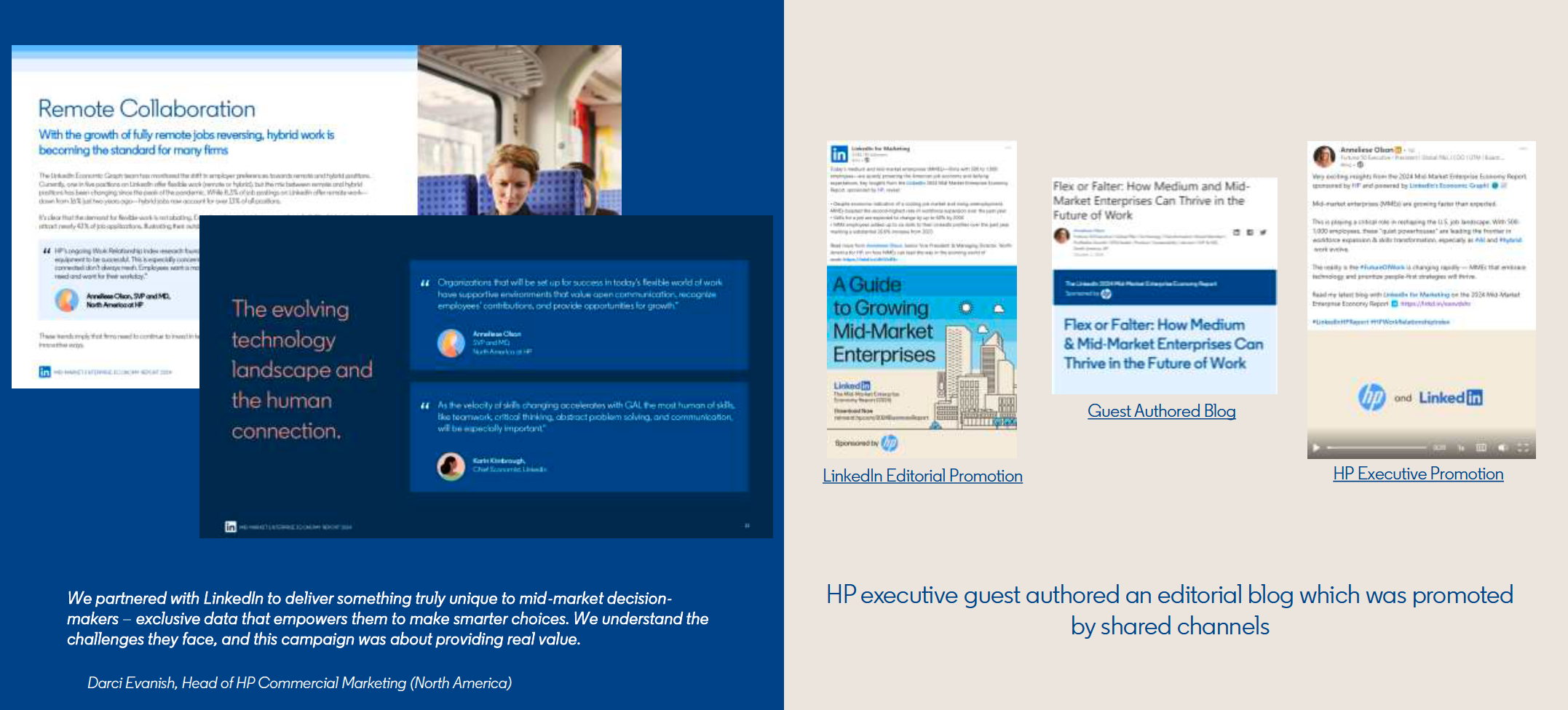 Integrating HP's Executive Within LinkedIn Research and Promotion