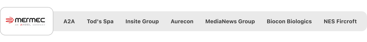 MERMEC, A2A, Tod's Spa, Insite Group, Aurecon, MediaNews Group, Biocon Biologics e NES Fircroft