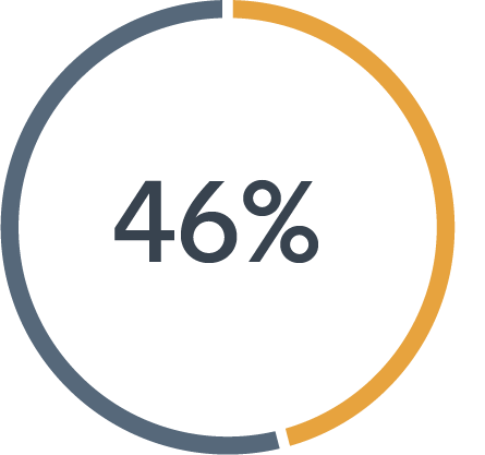 46% percentage