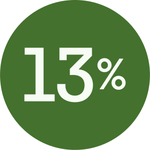 13%