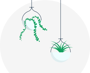 Illustration of hanging plants