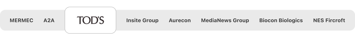 MERMEC, A2A, Tod's Spa, Insite Group, Aurecon, MediaNews Group, Biocon Biologics e NES Fircroft