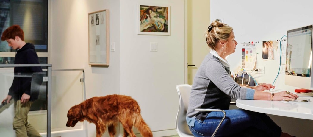 Caucasian woman on a computer at her desk at home. A boy walks down the stairs followed by a dog.