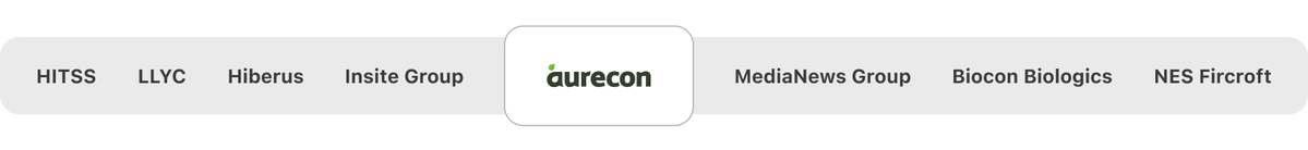 HITSS, LLYC, hiberus TECNOLOGIA, Insite Group, Aurecon, MediaNews Group, Biocon Biologics y NES Fircroft